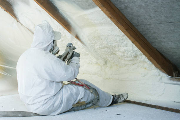 Best Attic Insulation Installation  in USA